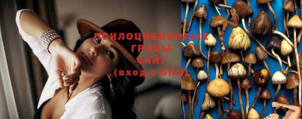 бошки Алексин